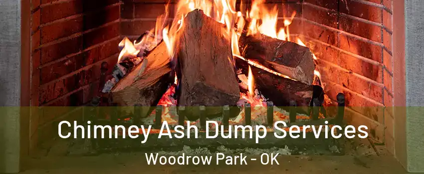 Chimney Ash Dump Services Woodrow Park - OK