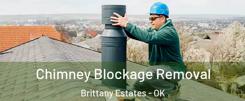 Chimney Blockage Removal Brittany Estates - OK