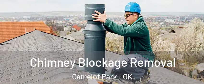 Chimney Blockage Removal Camelot Park - OK