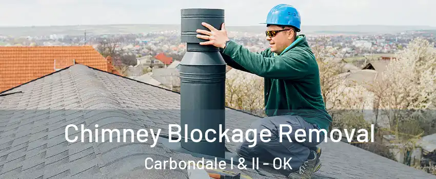 Chimney Blockage Removal Carbondale I & II - OK