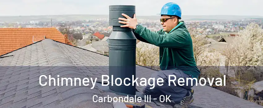 Chimney Blockage Removal Carbondale III - OK