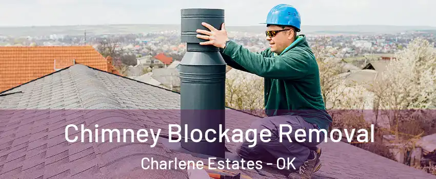 Chimney Blockage Removal Charlene Estates - OK