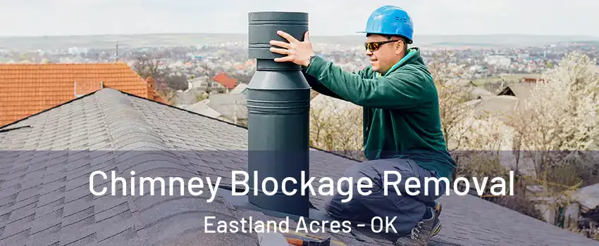 Chimney Blockage Removal Eastland Acres - OK