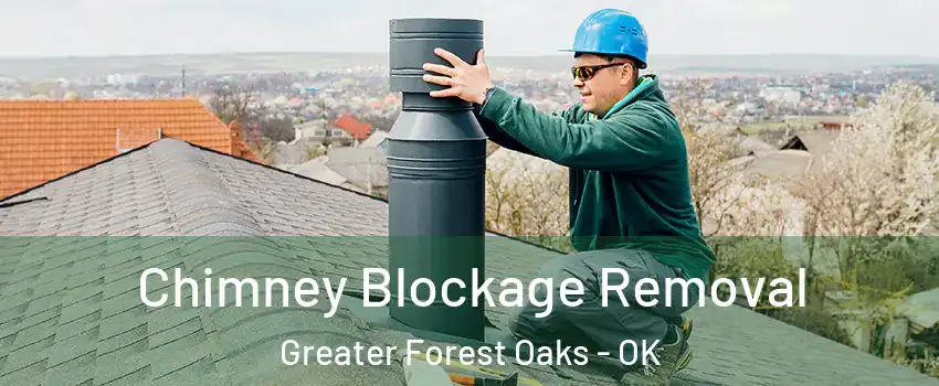 Chimney Blockage Removal Greater Forest Oaks - OK