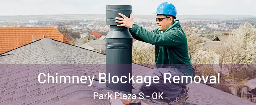 Chimney Blockage Removal Park Plaza S - OK