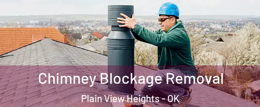 Chimney Blockage Removal Plain View Heights - OK