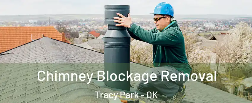 Chimney Blockage Removal Tracy Park - OK