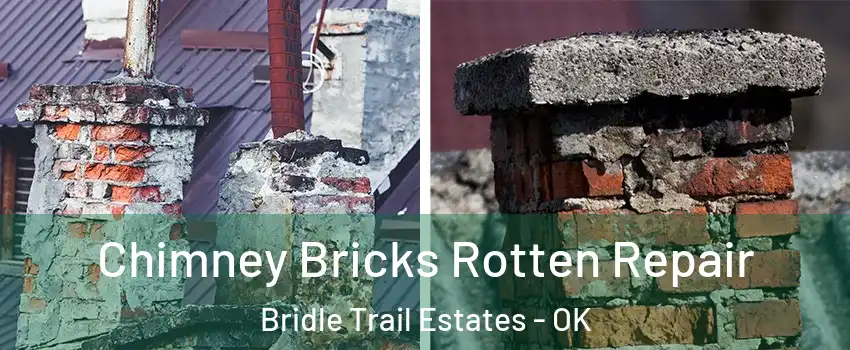 Chimney Bricks Rotten Repair Bridle Trail Estates - OK