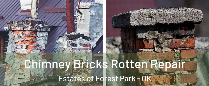 Chimney Bricks Rotten Repair Estates of Forest Park - OK