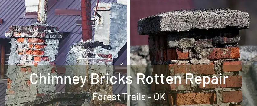Chimney Bricks Rotten Repair Forest Trails - OK