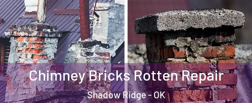 Chimney Bricks Rotten Repair Shadow Ridge - OK