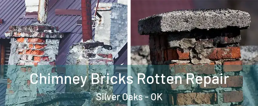 Chimney Bricks Rotten Repair Silver Oaks - OK