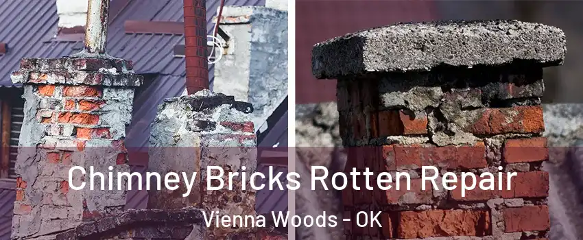 Chimney Bricks Rotten Repair Vienna Woods - OK