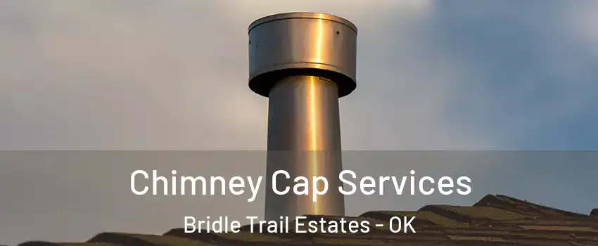 Chimney Cap Services Bridle Trail Estates - OK