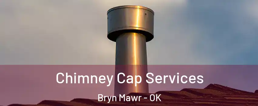 Chimney Cap Services Bryn Mawr - OK