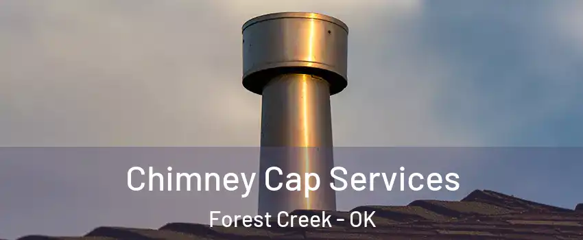 Chimney Cap Services Forest Creek - OK