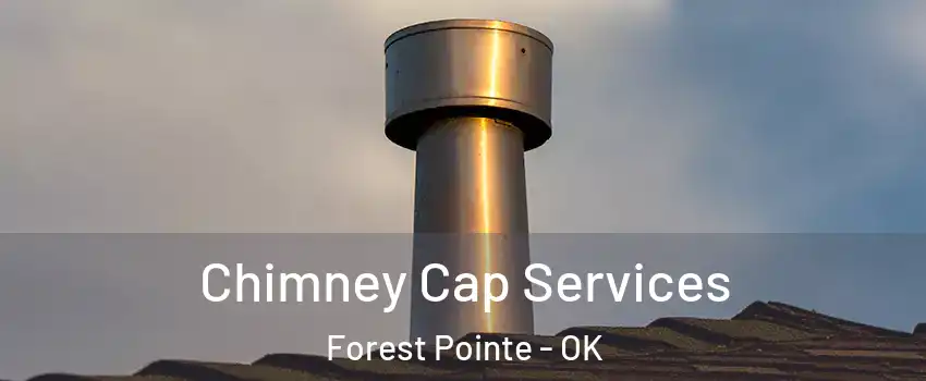 Chimney Cap Services Forest Pointe - OK