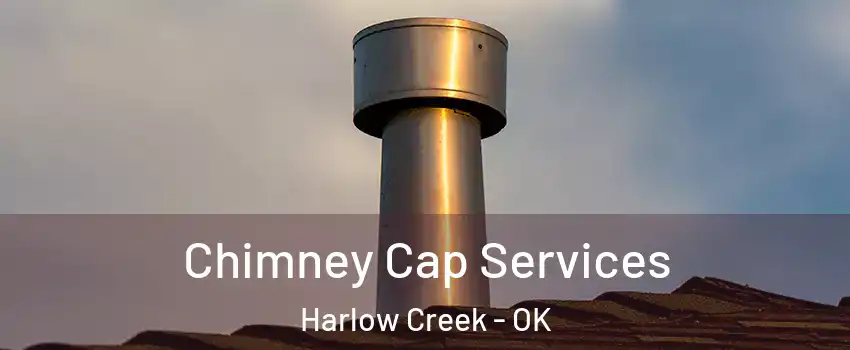 Chimney Cap Services Harlow Creek - OK