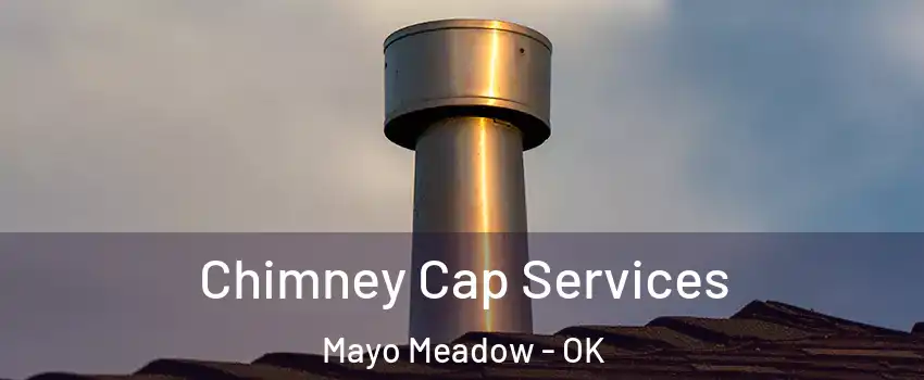 Chimney Cap Services Mayo Meadow - OK