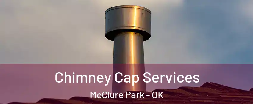 Chimney Cap Services McClure Park - OK