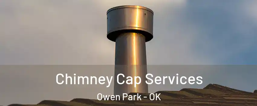 Chimney Cap Services Owen Park - OK