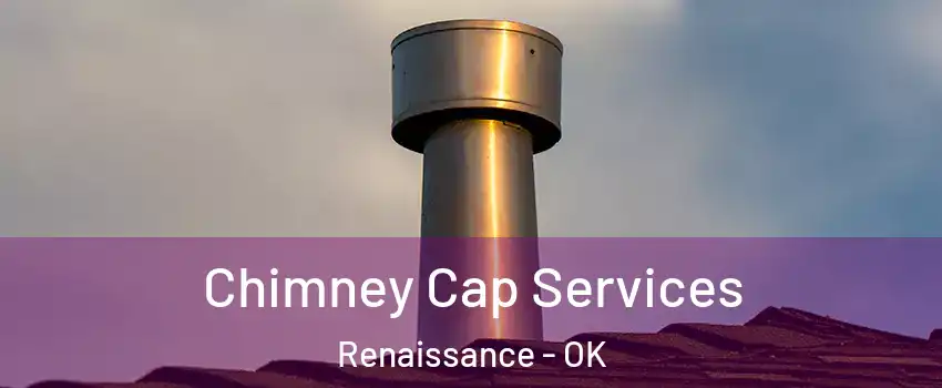Chimney Cap Services Renaissance - OK