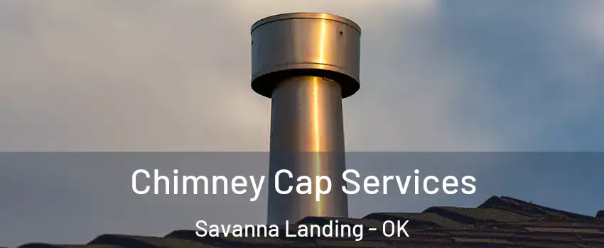Chimney Cap Services Savanna Landing - OK