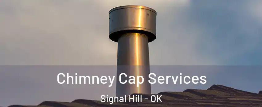 Chimney Cap Services Signal Hill - OK