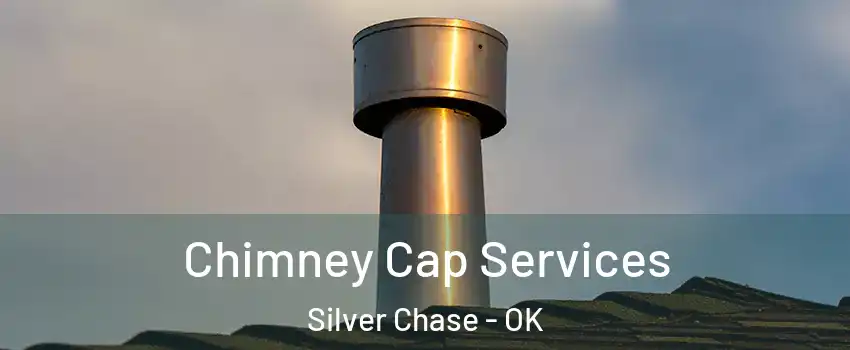 Chimney Cap Services Silver Chase - OK