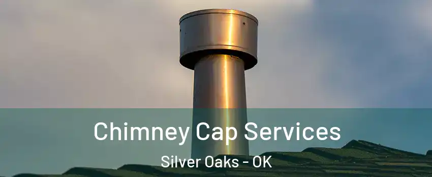 Chimney Cap Services Silver Oaks - OK