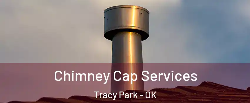 Chimney Cap Services Tracy Park - OK