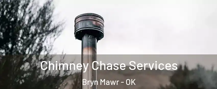 Chimney Chase Services Bryn Mawr - OK