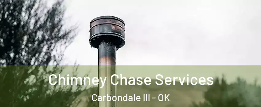 Chimney Chase Services Carbondale III - OK