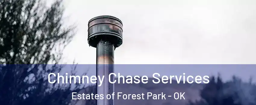 Chimney Chase Services Estates of Forest Park - OK