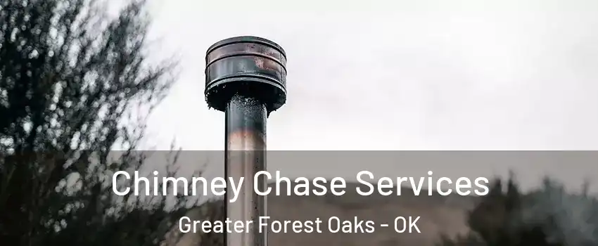 Chimney Chase Services Greater Forest Oaks - OK