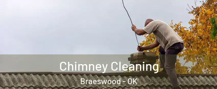 Chimney Cleaning Braeswood - OK