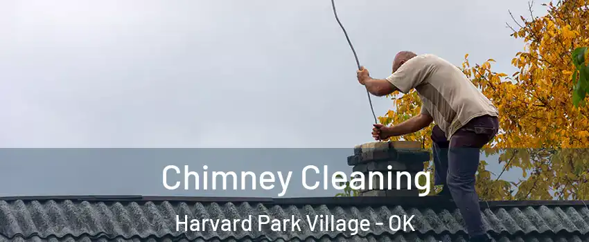 Chimney Cleaning Harvard Park Village - OK