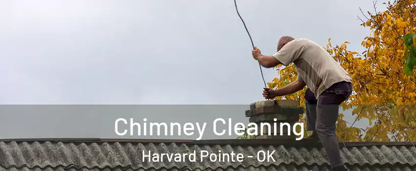 Chimney Cleaning Harvard Pointe - OK