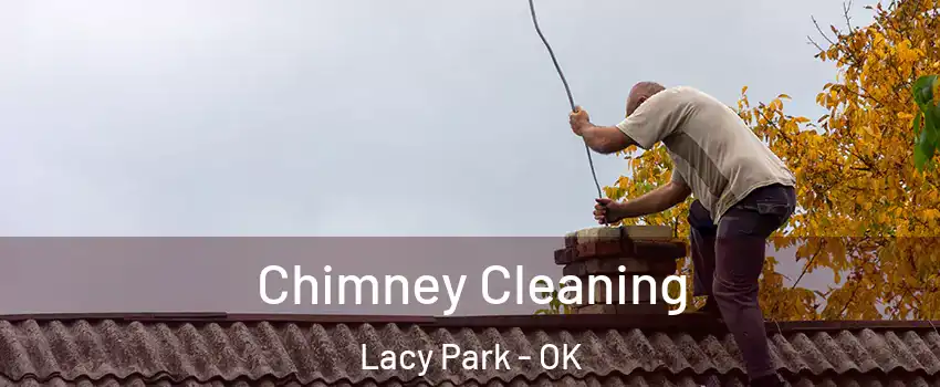 Chimney Cleaning Lacy Park - OK