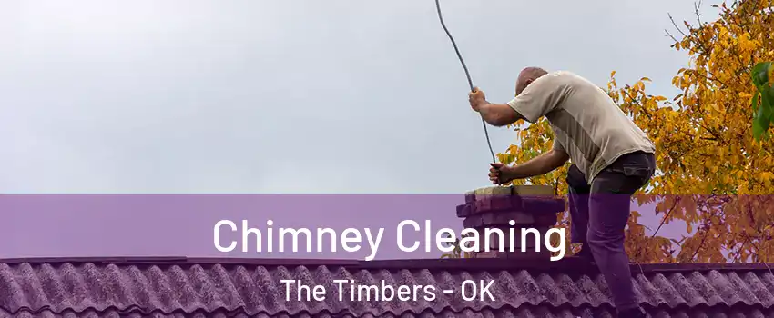 Chimney Cleaning The Timbers - OK