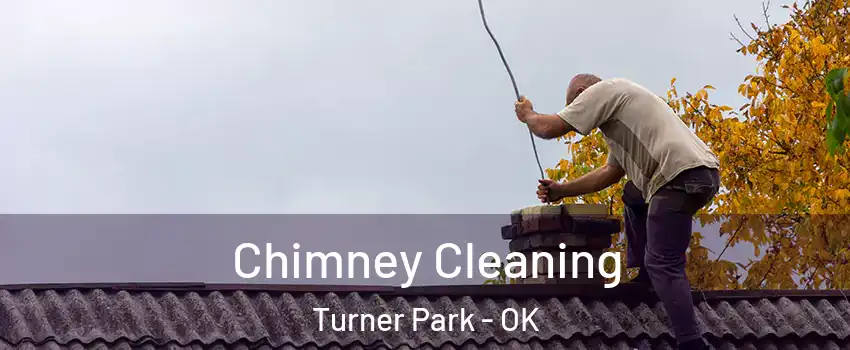 Chimney Cleaning Turner Park - OK