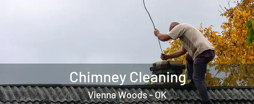 Chimney Cleaning Vienna Woods - OK