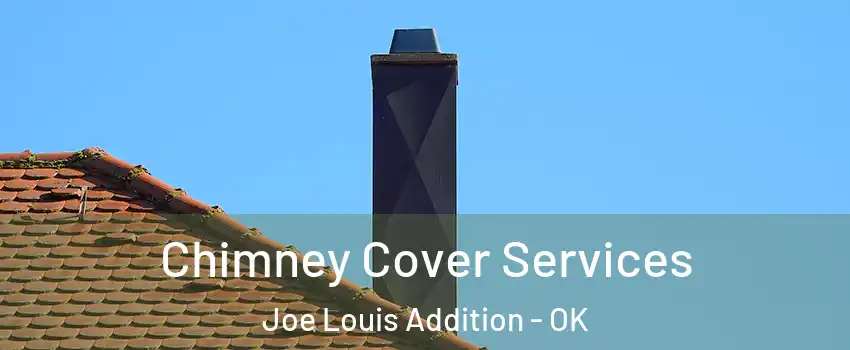 Chimney Cover Services Joe Louis Addition - OK