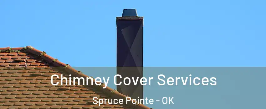 Chimney Cover Services Spruce Pointe - OK