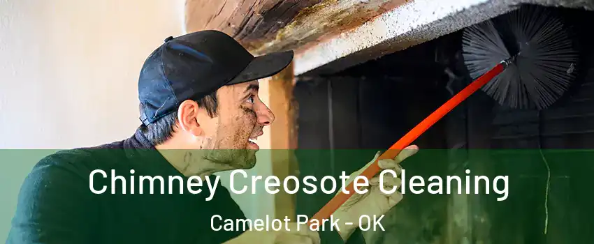 Chimney Creosote Cleaning Camelot Park - OK
