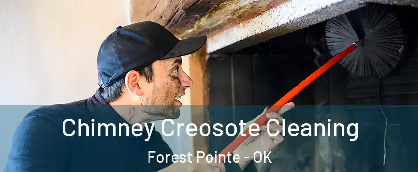 Chimney Creosote Cleaning Forest Pointe - OK