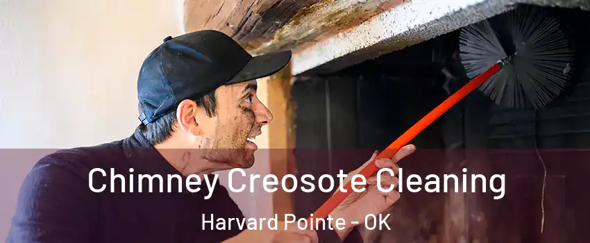 Chimney Creosote Cleaning Harvard Pointe - OK