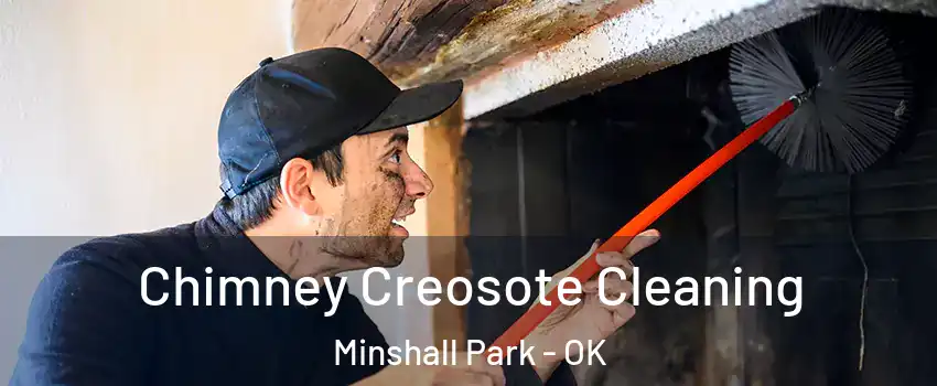Chimney Creosote Cleaning Minshall Park - OK