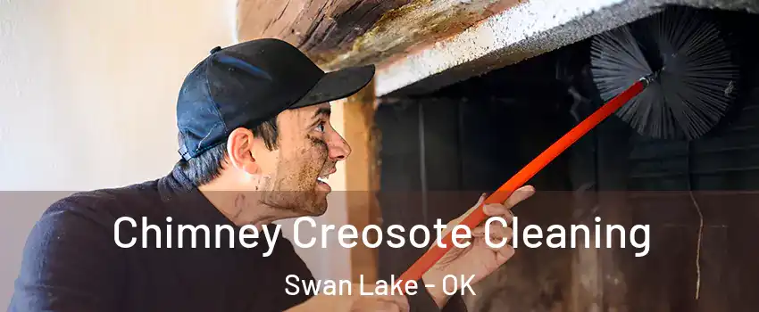 Chimney Creosote Cleaning Swan Lake - OK