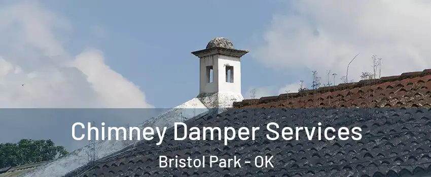 Chimney Damper Services Bristol Park - OK